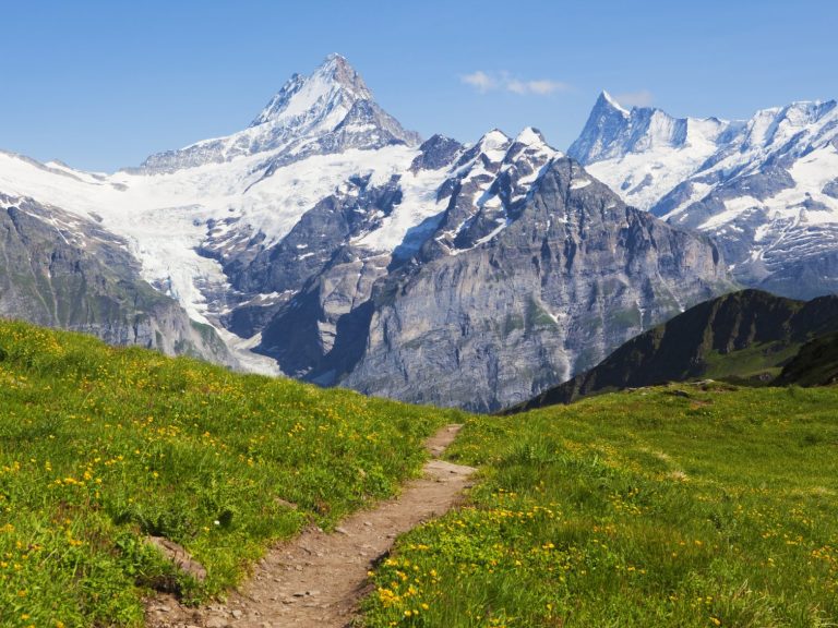 Pathway to mountains